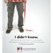 The Importance of Heartworm Prevention